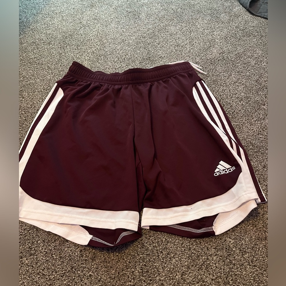 Mens adidas shorts